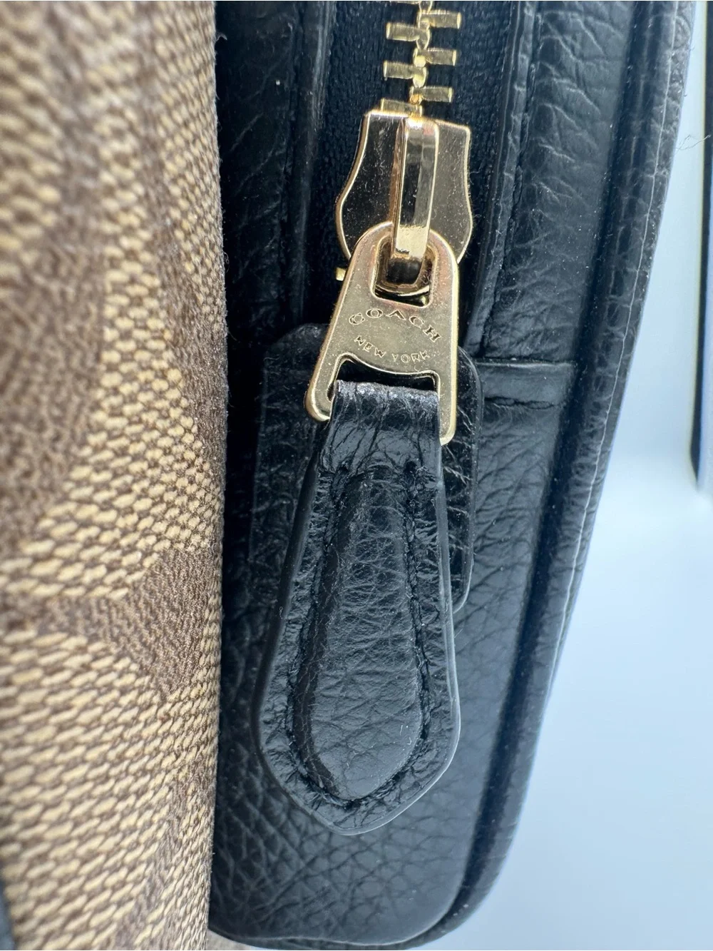 COACH Court Signature Canvas Backpack with Bee Print 🐝